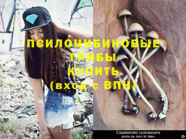 молекула духа Сафоново